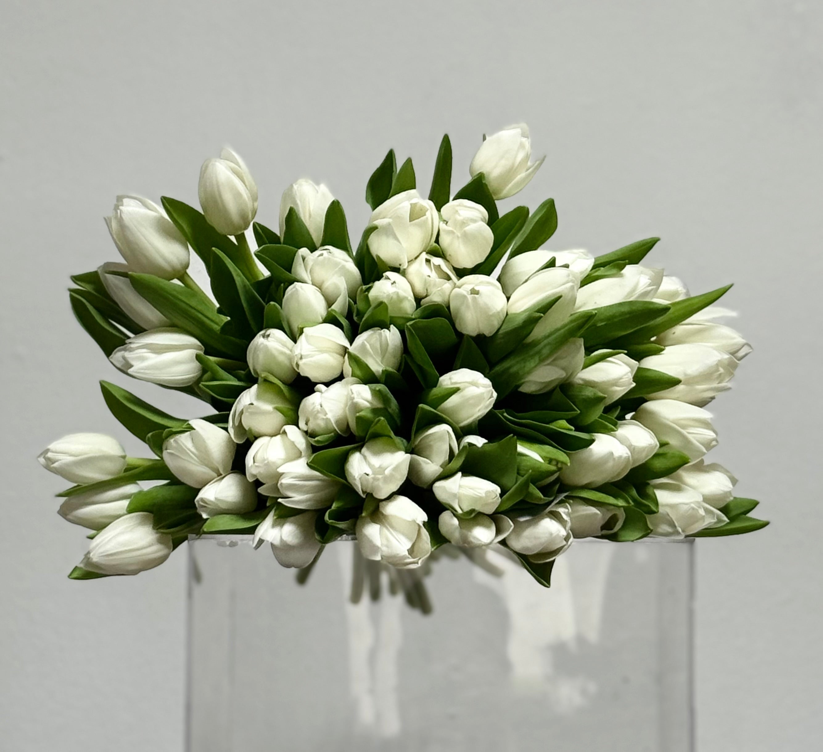 White whisper