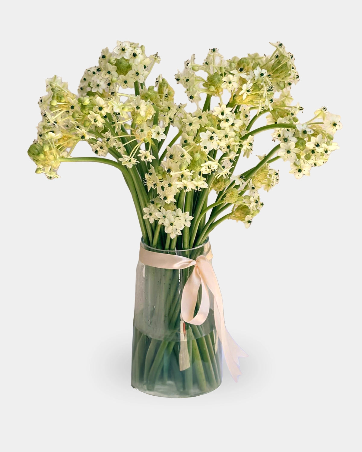 Frost Blossom in Glass